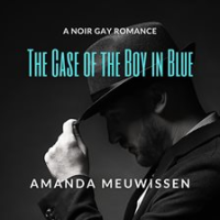 The_Case_of_the_Boy_in_Blue